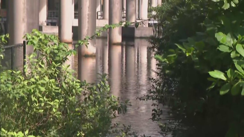 Fort Lauderdale pump station moved over 50 million gallons in September; king tide test looms — CBS Miami, Coconut Creek Community news