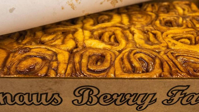 Knaus Berry Farm opens for its 70th season with changes to how customers can get its famous cinnamon rolls — CBS Miami, Coconut Creek Business news
