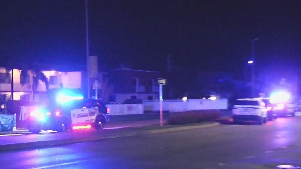 Woman accused of killing man in Dania Beach hit-and-run, BSO says — CBS Miami, Coconut Creek Community news