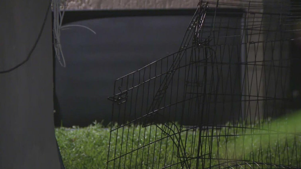 911 call captures frantic report of dog chasing, biting children in Miami — CBS Miami, Coconut Creek Health news