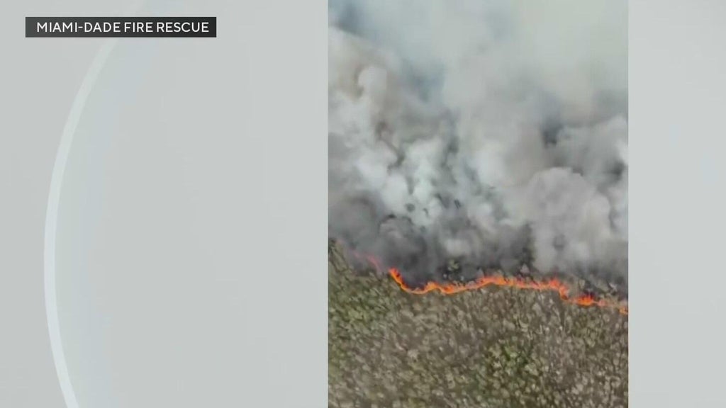 West Miami-Dade wildfires burn nearly 4000 acres — CBS Miami, Coconut Creek Community news