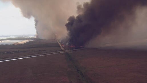 Wildfires burning near Everglades force officials to close part of Krome Avenue in west Miami-Dade — CBS Miami, Coconut Creek Health news