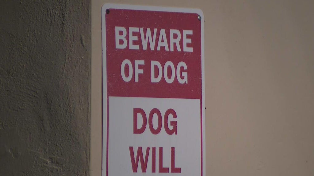 Dog on the loose after attacking a child in northwest Miami-Dade, deputies said — CBS Miami, Coconut Creek Health news