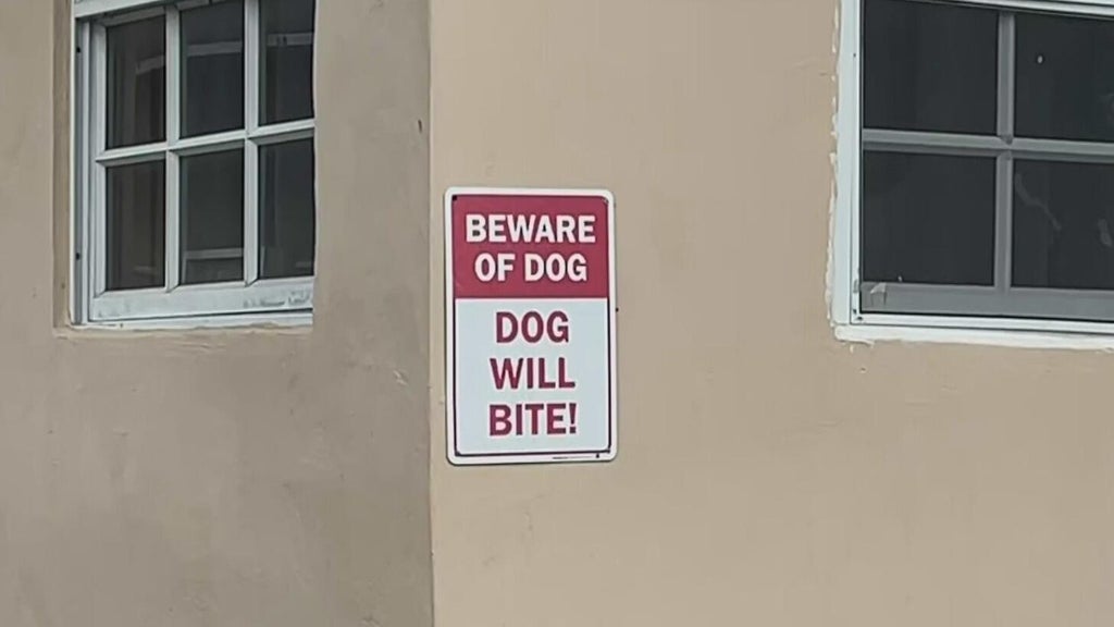 Dog who bit girl in northwest Miami-Dade taken into Animal Services custody — CBS Miami, Coconut Creek Community news