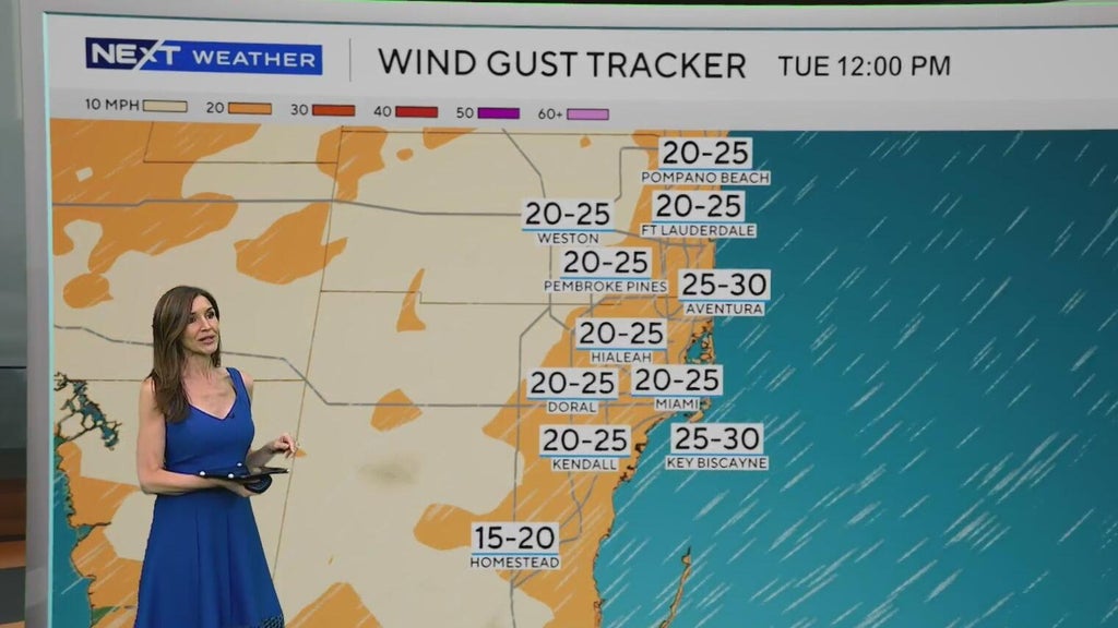 Windy, drier week ahead of taste of fall South Florida style — CBS Miami, Coconut Creek Community news