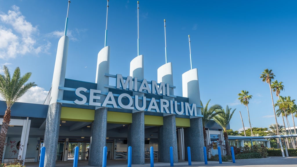 2 Miami-Dade residents sue to require countywide vote on Miami Seaquarium marina development plan — CBS Miami, Coconut Creek Real Estate news