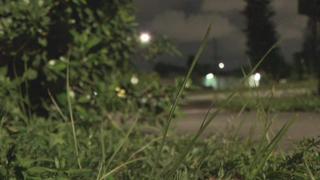 Broward mother says she went months without update after reporting man outside her window — CBS Miami, Coconut Creek Real Estate news