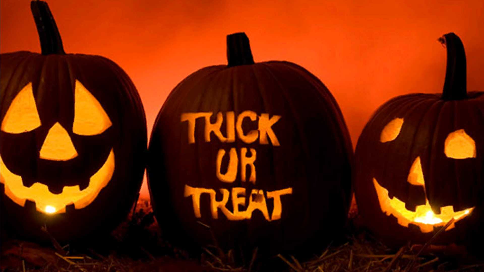 Halloween fun across the Treasure Coast and Palm Beach — WPBF West Palm Beach, Coconut Creek Arts news