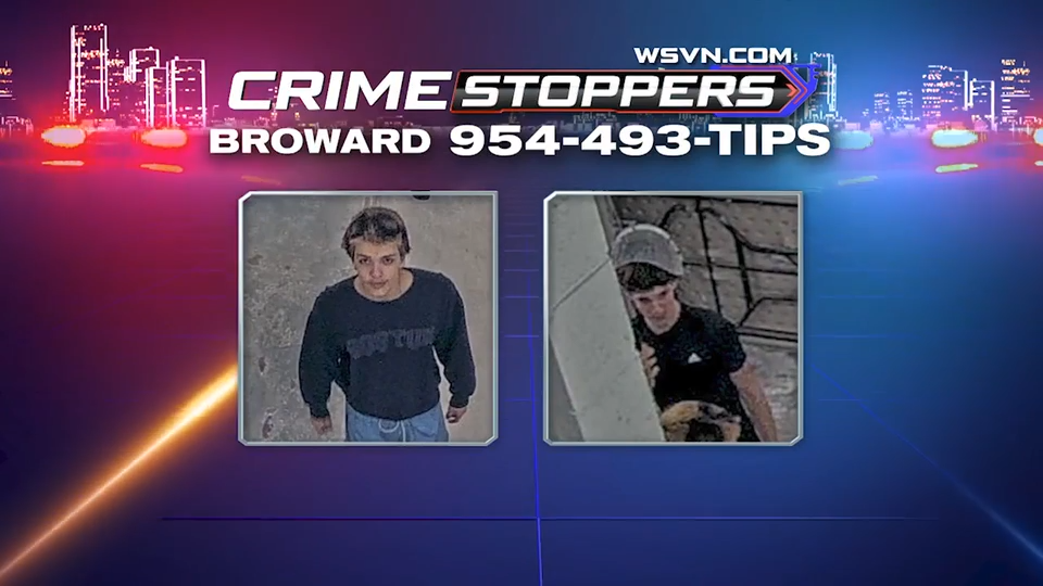 Authorities seek to identify golf cart crooks caught on camera crashing carts at Fiveash water plant — WSVN 7 Broward, Coconut Creek Community news